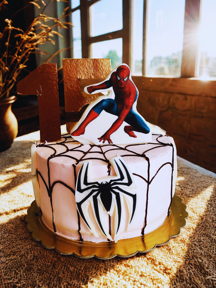 port-gallery-torty_dla_dzieci_spiderman2